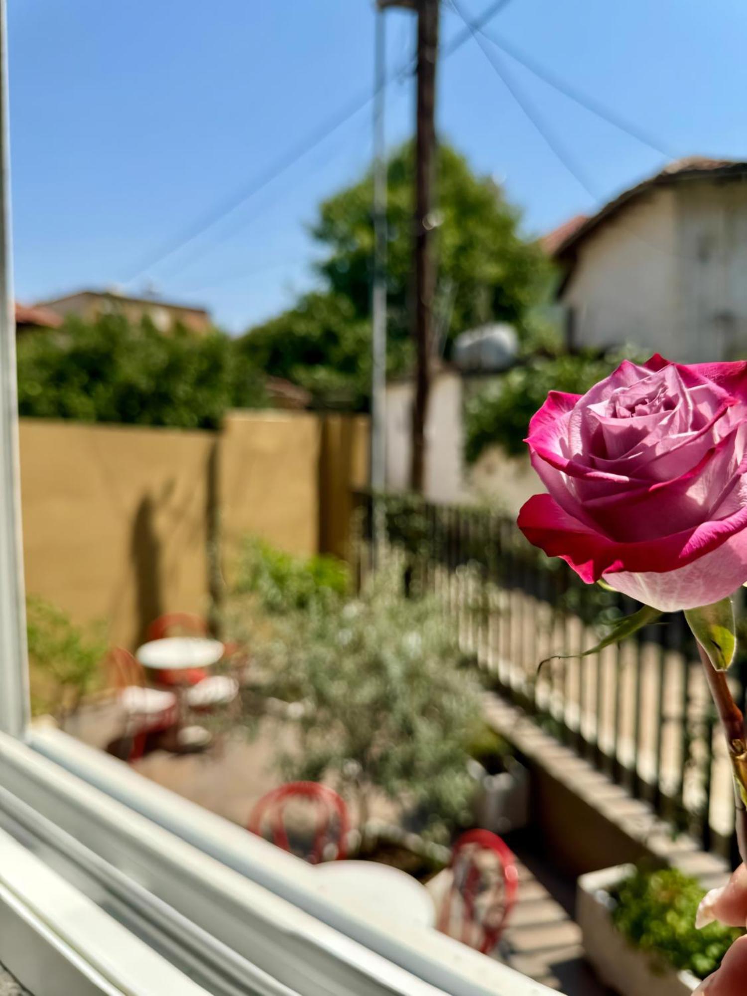 Vila Panto Tirana Bagian luar foto